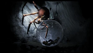 Araña