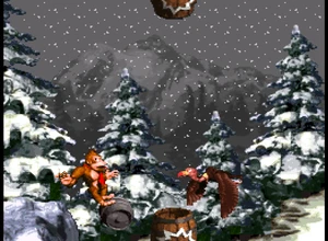 Neve