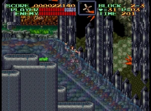 Auga